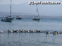 [P18] Plaja Marathi din peninsula Akrotiri - Chania, Creata » foto by vlado2
 - 
<span class="allrVoted glyphicon glyphicon-heart hidden" id="av292683"></span>
<a class="m-l-10 hidden" id="sv292683" onclick="voting_Foto_DelVot(,292683,16947)" role="button">șterge vot <span class="glyphicon glyphicon-remove"></span></a>
<a id="v9292683" class=" c-red"  onclick="voting_Foto_SetVot(292683)" role="button"><span class="glyphicon glyphicon-heart-empty"></span> <b>LIKE</b> = Votează poza</a> <img class="hidden"  id="f292683W9" src="/imagini/loader.gif" border="0" /><span class="AjErrMes hidden" id="e292683ErM"></span>
