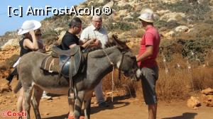 [P22] Un măgar al serviciului Donkey Taxi » foto by Costi
 - 
<span class="allrVoted glyphicon glyphicon-heart hidden" id="av798695"></span>
<a class="m-l-10 hidden" id="sv798695" onclick="voting_Foto_DelVot(,798695,16947)" role="button">șterge vot <span class="glyphicon glyphicon-remove"></span></a>
<a id="v9798695" class=" c-red"  onclick="voting_Foto_SetVot(798695)" role="button"><span class="glyphicon glyphicon-heart-empty"></span> <b>LIKE</b> = Votează poza</a> <img class="hidden"  id="f798695W9" src="/imagini/loader.gif" border="0" /><span class="AjErrMes hidden" id="e798695ErM"></span>