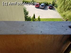 [P08] Balconul mizerabil » foto by sunflower
 - 
<span class="allrVoted glyphicon glyphicon-heart hidden" id="av879643"></span>
<a class="m-l-10 hidden" id="sv879643" onclick="voting_Foto_DelVot(,879643,16955)" role="button">șterge vot <span class="glyphicon glyphicon-remove"></span></a>
<a id="v9879643" class=" c-red"  onclick="voting_Foto_SetVot(879643)" role="button"><span class="glyphicon glyphicon-heart-empty"></span> <b>LIKE</b> = Votează poza</a> <img class="hidden"  id="f879643W9" src="/imagini/loader.gif" border="0" /><span class="AjErrMes hidden" id="e879643ErM"></span>