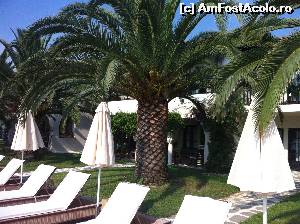 [P08] Sezlongurile de la piscina si terasa noastra » foto by dalinflorin
 - 
<span class="allrVoted glyphicon glyphicon-heart hidden" id="av537097"></span>
<a class="m-l-10 hidden" id="sv537097" onclick="voting_Foto_DelVot(,537097,17005)" role="button">șterge vot <span class="glyphicon glyphicon-remove"></span></a>
<a id="v9537097" class=" c-red"  onclick="voting_Foto_SetVot(537097)" role="button"><span class="glyphicon glyphicon-heart-empty"></span> <b>LIKE</b> = Votează poza</a> <img class="hidden"  id="f537097W9" src="/imagini/loader.gif" border="0" /><span class="AjErrMes hidden" id="e537097ErM"></span>