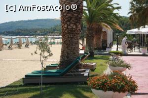 [P29] Paturi la umbra palmierilor » foto by Flaviu
 - 
<span class="allrVoted glyphicon glyphicon-heart hidden" id="av897771"></span>
<a class="m-l-10 hidden" id="sv897771" onclick="voting_Foto_DelVot(,897771,17005)" role="button">șterge vot <span class="glyphicon glyphicon-remove"></span></a>
<a id="v9897771" class=" c-red"  onclick="voting_Foto_SetVot(897771)" role="button"><span class="glyphicon glyphicon-heart-empty"></span> <b>LIKE</b> = Votează poza</a> <img class="hidden"  id="f897771W9" src="/imagini/loader.gif" border="0" /><span class="AjErrMes hidden" id="e897771ErM"></span>