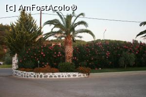 [P03] Intrarea in resort » foto by Flaviu
 - 
<span class="allrVoted glyphicon glyphicon-heart hidden" id="av897745"></span>
<a class="m-l-10 hidden" id="sv897745" onclick="voting_Foto_DelVot(,897745,17005)" role="button">șterge vot <span class="glyphicon glyphicon-remove"></span></a>
<a id="v9897745" class=" c-red"  onclick="voting_Foto_SetVot(897745)" role="button"><span class="glyphicon glyphicon-heart-empty"></span> <b>LIKE</b> = Votează poza</a> <img class="hidden"  id="f897745W9" src="/imagini/loader.gif" border="0" /><span class="AjErrMes hidden" id="e897745ErM"></span>