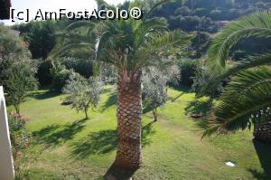 [P08] La intrarea in camera » foto by Flaviu
 - 
<span class="allrVoted glyphicon glyphicon-heart hidden" id="av897750"></span>
<a class="m-l-10 hidden" id="sv897750" onclick="voting_Foto_DelVot(,897750,17005)" role="button">șterge vot <span class="glyphicon glyphicon-remove"></span></a>
<a id="v9897750" class=" c-red"  onclick="voting_Foto_SetVot(897750)" role="button"><span class="glyphicon glyphicon-heart-empty"></span> <b>LIKE</b> = Votează poza</a> <img class="hidden"  id="f897750W9" src="/imagini/loader.gif" border="0" /><span class="AjErrMes hidden" id="e897750ErM"></span>