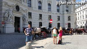 [P02] Viena » foto by nelutufarcas
 - 
<span class="allrVoted glyphicon glyphicon-heart hidden" id="av656855"></span>
<a class="m-l-10 hidden" id="sv656855" onclick="voting_Foto_DelVot(,656855,17056)" role="button">șterge vot <span class="glyphicon glyphicon-remove"></span></a>
<a id="v9656855" class=" c-red"  onclick="voting_Foto_SetVot(656855)" role="button"><span class="glyphicon glyphicon-heart-empty"></span> <b>LIKE</b> = Votează poza</a> <img class="hidden"  id="f656855W9" src="/imagini/loader.gif" border="0" /><span class="AjErrMes hidden" id="e656855ErM"></span>