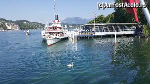 [P28] Lucerna » foto by nelutufarcas
 - 
<span class="allrVoted glyphicon glyphicon-heart hidden" id="av656912"></span>
<a class="m-l-10 hidden" id="sv656912" onclick="voting_Foto_DelVot(,656912,17056)" role="button">șterge vot <span class="glyphicon glyphicon-remove"></span></a>
<a id="v9656912" class=" c-red"  onclick="voting_Foto_SetVot(656912)" role="button"><span class="glyphicon glyphicon-heart-empty"></span> <b>LIKE</b> = Votează poza</a> <img class="hidden"  id="f656912W9" src="/imagini/loader.gif" border="0" /><span class="AjErrMes hidden" id="e656912ErM"></span>