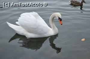 [P03] In lipsa unui peste e buna si painea » foto by DOINITA
 - 
<span class="allrVoted glyphicon glyphicon-heart hidden" id="av946608"></span>
<a class="m-l-10 hidden" id="sv946608" onclick="voting_Foto_DelVot(,946608,17056)" role="button">șterge vot <span class="glyphicon glyphicon-remove"></span></a>
<a id="v9946608" class=" c-red"  onclick="voting_Foto_SetVot(946608)" role="button"><span class="glyphicon glyphicon-heart-empty"></span> <b>LIKE</b> = Votează poza</a> <img class="hidden"  id="f946608W9" src="/imagini/loader.gif" border="0" /><span class="AjErrMes hidden" id="e946608ErM"></span>