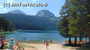 [P01] PN Durmitor » foto by catalinioan
 - 
<span class="allrVoted glyphicon glyphicon-heart hidden" id="av1081220"></span>
<a class="m-l-10 hidden" id="sv1081220" onclick="voting_Foto_DelVot(,1081220,17056)" role="button">șterge vot <span class="glyphicon glyphicon-remove"></span></a>
<a id="v91081220" class=" c-red"  onclick="voting_Foto_SetVot(1081220)" role="button"><span class="glyphicon glyphicon-heart-empty"></span> <b>LIKE</b> = Votează poza</a> <img class="hidden"  id="f1081220W9" src="/imagini/loader.gif" border="0" /><span class="AjErrMes hidden" id="e1081220ErM"></span>