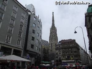 [P02] Viena » foto by Tudor-Cristian
 - 
<span class="allrVoted glyphicon glyphicon-heart hidden" id="av669906"></span>
<a class="m-l-10 hidden" id="sv669906" onclick="voting_Foto_DelVot(,669906,17056)" role="button">șterge vot <span class="glyphicon glyphicon-remove"></span></a>
<a id="v9669906" class=" c-red"  onclick="voting_Foto_SetVot(669906)" role="button"><span class="glyphicon glyphicon-heart-empty"></span> <b>LIKE</b> = Votează poza</a> <img class="hidden"  id="f669906W9" src="/imagini/loader.gif" border="0" /><span class="AjErrMes hidden" id="e669906ErM"></span>