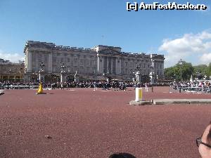 [P54] Palatul Buckingham » foto by Tudor-Cristian
 - 
<span class="allrVoted glyphicon glyphicon-heart hidden" id="av669958"></span>
<a class="m-l-10 hidden" id="sv669958" onclick="voting_Foto_DelVot(,669958,17056)" role="button">șterge vot <span class="glyphicon glyphicon-remove"></span></a>
<a id="v9669958" class=" c-red"  onclick="voting_Foto_SetVot(669958)" role="button"><span class="glyphicon glyphicon-heart-empty"></span> <b>LIKE</b> = Votează poza</a> <img class="hidden"  id="f669958W9" src="/imagini/loader.gif" border="0" /><span class="AjErrMes hidden" id="e669958ErM"></span>
