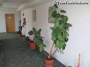 [P17] Pe coridor...  » foto by Neptunus
 - 
<span class="allrVoted glyphicon glyphicon-heart hidden" id="av539847"></span>
<a class="m-l-10 hidden" id="sv539847" onclick="voting_Foto_DelVot(,539847,17062)" role="button">șterge vot <span class="glyphicon glyphicon-remove"></span></a>
<a id="v9539847" class=" c-red"  onclick="voting_Foto_SetVot(539847)" role="button"><span class="glyphicon glyphicon-heart-empty"></span> <b>LIKE</b> = Votează poza</a> <img class="hidden"  id="f539847W9" src="/imagini/loader.gif" border="0" /><span class="AjErrMes hidden" id="e539847ErM"></span>