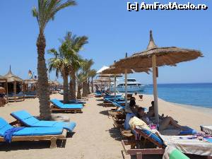 [P10]  -- <small>// FĂRĂ DESCRIERE</small> » foto by sissysist
 - 
<span class="allrVoted glyphicon glyphicon-heart hidden" id="av540214"></span>
<a class="m-l-10 hidden" id="sv540214" onclick="voting_Foto_DelVot(,540214,17067)" role="button">șterge vot <span class="glyphicon glyphicon-remove"></span></a>
<a id="v9540214" class=" c-red"  onclick="voting_Foto_SetVot(540214)" role="button"><span class="glyphicon glyphicon-heart-empty"></span> <b>LIKE</b> = Votează poza</a> <img class="hidden"  id="f540214W9" src="/imagini/loader.gif" border="0" /><span class="AjErrMes hidden" id="e540214ErM"></span>