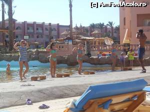 [P12]  -- <small>// FĂRĂ DESCRIERE</small> » foto by sissysist
 - 
<span class="allrVoted glyphicon glyphicon-heart hidden" id="av540216"></span>
<a class="m-l-10 hidden" id="sv540216" onclick="voting_Foto_DelVot(,540216,17067)" role="button">șterge vot <span class="glyphicon glyphicon-remove"></span></a>
<a id="v9540216" class=" c-red"  onclick="voting_Foto_SetVot(540216)" role="button"><span class="glyphicon glyphicon-heart-empty"></span> <b>LIKE</b> = Votează poza</a> <img class="hidden"  id="f540216W9" src="/imagini/loader.gif" border="0" /><span class="AjErrMes hidden" id="e540216ErM"></span>