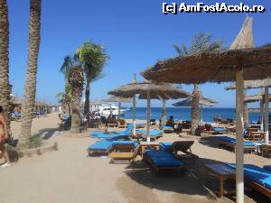 [P21] plaja » foto by sissysist
 - 
<span class="allrVoted glyphicon glyphicon-heart hidden" id="av540225"></span>
<a class="m-l-10 hidden" id="sv540225" onclick="voting_Foto_DelVot(,540225,17067)" role="button">șterge vot <span class="glyphicon glyphicon-remove"></span></a>
<a id="v9540225" class=" c-red"  onclick="voting_Foto_SetVot(540225)" role="button"><span class="glyphicon glyphicon-heart-empty"></span> <b>LIKE</b> = Votează poza</a> <img class="hidden"  id="f540225W9" src="/imagini/loader.gif" border="0" /><span class="AjErrMes hidden" id="e540225ErM"></span>