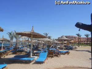 [P08] plaja » foto by sissysist
 - 
<span class="allrVoted glyphicon glyphicon-heart hidden" id="av540212"></span>
<a class="m-l-10 hidden" id="sv540212" onclick="voting_Foto_DelVot(,540212,17067)" role="button">șterge vot <span class="glyphicon glyphicon-remove"></span></a>
<a id="v9540212" class=" c-red"  onclick="voting_Foto_SetVot(540212)" role="button"><span class="glyphicon glyphicon-heart-empty"></span> <b>LIKE</b> = Votează poza</a> <img class="hidden"  id="f540212W9" src="/imagini/loader.gif" border="0" /><span class="AjErrMes hidden" id="e540212ErM"></span>