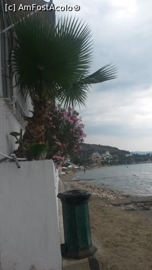 [P03] in departare se afla plaja mare » foto by xpac
 - 
<span class="allrVoted glyphicon glyphicon-heart hidden" id="av925743"></span>
<a class="m-l-10 hidden" id="sv925743" onclick="voting_Foto_DelVot(,925743,17072)" role="button">șterge vot <span class="glyphicon glyphicon-remove"></span></a>
<a id="v9925743" class=" c-red"  onclick="voting_Foto_SetVot(925743)" role="button"><span class="glyphicon glyphicon-heart-empty"></span> <b>LIKE</b> = Votează poza</a> <img class="hidden"  id="f925743W9" src="/imagini/loader.gif" border="0" /><span class="AjErrMes hidden" id="e925743ErM"></span>