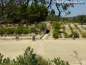 [P16] Intrarea sportivilor pe stadionul din Nemea » foto by ileanaxperta*
 - 
<span class="allrVoted glyphicon glyphicon-heart hidden" id="av629403"></span>
<a class="m-l-10 hidden" id="sv629403" onclick="voting_Foto_DelVot(,629403,17072)" role="button">șterge vot <span class="glyphicon glyphicon-remove"></span></a>
<a id="v9629403" class=" c-red"  onclick="voting_Foto_SetVot(629403)" role="button"><span class="glyphicon glyphicon-heart-empty"></span> <b>LIKE</b> = Votează poza</a> <img class="hidden"  id="f629403W9" src="/imagini/loader.gif" border="0" /><span class="AjErrMes hidden" id="e629403ErM"></span>