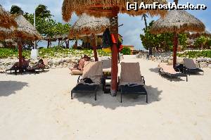 [P05] Plaja hotelului » foto by Dalianna
 - 
<span class="allrVoted glyphicon glyphicon-heart hidden" id="av542437"></span>
<a class="m-l-10 hidden" id="sv542437" onclick="voting_Foto_DelVot(,542437,17117)" role="button">șterge vot <span class="glyphicon glyphicon-remove"></span></a>
<a id="v9542437" class=" c-red"  onclick="voting_Foto_SetVot(542437)" role="button"><span class="glyphicon glyphicon-heart-empty"></span> <b>LIKE</b> = Votează poza</a> <img class="hidden"  id="f542437W9" src="/imagini/loader.gif" border="0" /><span class="AjErrMes hidden" id="e542437ErM"></span>