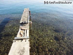 [P18] plecarea in ceroaziera dis de dimineata din portul Limenas Thassos » foto by turist_calatorescu*
 - 
<span class="allrVoted glyphicon glyphicon-heart hidden" id="av557396"></span>
<a class="m-l-10 hidden" id="sv557396" onclick="voting_Foto_DelVot(,557396,17143)" role="button">șterge vot <span class="glyphicon glyphicon-remove"></span></a>
<a id="v9557396" class=" c-red"  onclick="voting_Foto_SetVot(557396)" role="button"><span class="glyphicon glyphicon-heart-empty"></span> <b>LIKE</b> = Votează poza</a> <img class="hidden"  id="f557396W9" src="/imagini/loader.gif" border="0" /><span class="AjErrMes hidden" id="e557396ErM"></span>
