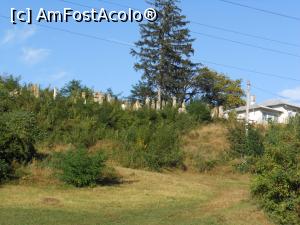 [P41] Piatra Neamț - Cimitirul evreiesc de la Sărata.  » foto by iulianic
 - 
<span class="allrVoted glyphicon glyphicon-heart hidden" id="av1011055"></span>
<a class="m-l-10 hidden" id="sv1011055" onclick="voting_Foto_DelVot(,1011055,17175)" role="button">șterge vot <span class="glyphicon glyphicon-remove"></span></a>
<a id="v91011055" class=" c-red"  onclick="voting_Foto_SetVot(1011055)" role="button"><span class="glyphicon glyphicon-heart-empty"></span> <b>LIKE</b> = Votează poza</a> <img class="hidden"  id="f1011055W9" src="/imagini/loader.gif" border="0" /><span class="AjErrMes hidden" id="e1011055ErM"></span>