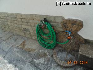 [P05] elegantul robinet din curte » foto by Denisa13
 - 
<span class="allrVoted glyphicon glyphicon-heart hidden" id="av544508"></span>
<a class="m-l-10 hidden" id="sv544508" onclick="voting_Foto_DelVot(,544508,17181)" role="button">șterge vot <span class="glyphicon glyphicon-remove"></span></a>
<a id="v9544508" class=" c-red"  onclick="voting_Foto_SetVot(544508)" role="button"><span class="glyphicon glyphicon-heart-empty"></span> <b>LIKE</b> = Votează poza</a> <img class="hidden"  id="f544508W9" src="/imagini/loader.gif" border="0" /><span class="AjErrMes hidden" id="e544508ErM"></span>