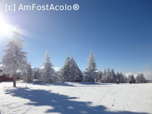 [P04]  -- <small>// FĂRĂ DESCRIERE</small> » foto by sdanutza
 - 
<span class="allrVoted glyphicon glyphicon-heart hidden" id="av706025"></span>
<a class="m-l-10 hidden" id="sv706025" onclick="voting_Foto_DelVot(,706025,17200)" role="button">șterge vot <span class="glyphicon glyphicon-remove"></span></a>
<a id="v9706025" class=" c-red"  onclick="voting_Foto_SetVot(706025)" role="button"><span class="glyphicon glyphicon-heart-empty"></span> <b>LIKE</b> = Votează poza</a> <img class="hidden"  id="f706025W9" src="/imagini/loader.gif" border="0" /><span class="AjErrMes hidden" id="e706025ErM"></span>