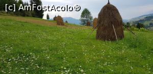 [P07] Pasune montana in Apuseni » foto by ultraviola
 - 
<span class="allrVoted glyphicon glyphicon-heart hidden" id="av1003428"></span>
<a class="m-l-10 hidden" id="sv1003428" onclick="voting_Foto_DelVot(,1003428,17229)" role="button">șterge vot <span class="glyphicon glyphicon-remove"></span></a>
<a id="v91003428" class=" c-red"  onclick="voting_Foto_SetVot(1003428)" role="button"><span class="glyphicon glyphicon-heart-empty"></span> <b>LIKE</b> = Votează poza</a> <img class="hidden"  id="f1003428W9" src="/imagini/loader.gif" border="0" /><span class="AjErrMes hidden" id="e1003428ErM"></span>