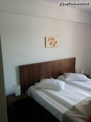 [P03] Patul, foarte incapator » foto by peta
 - 
<span class="allrVoted glyphicon glyphicon-heart hidden" id="av546590"></span>
<a class="m-l-10 hidden" id="sv546590" onclick="voting_Foto_DelVot(,546590,17259)" role="button">șterge vot <span class="glyphicon glyphicon-remove"></span></a>
<a id="v9546590" class=" c-red"  onclick="voting_Foto_SetVot(546590)" role="button"><span class="glyphicon glyphicon-heart-empty"></span> <b>LIKE</b> = Votează poza</a> <img class="hidden"  id="f546590W9" src="/imagini/loader.gif" border="0" /><span class="AjErrMes hidden" id="e546590ErM"></span>