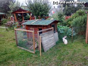 [P14] 'Micuții' prieteni urechiați și căsuța lor.  » foto by amavio
 - 
<span class="allrVoted glyphicon glyphicon-heart hidden" id="av648431"></span>
<a class="m-l-10 hidden" id="sv648431" onclick="voting_Foto_DelVot(,648431,17276)" role="button">șterge vot <span class="glyphicon glyphicon-remove"></span></a>
<a id="v9648431" class=" c-red"  onclick="voting_Foto_SetVot(648431)" role="button"><span class="glyphicon glyphicon-heart-empty"></span> <b>LIKE</b> = Votează poza</a> <img class="hidden"  id="f648431W9" src="/imagini/loader.gif" border="0" /><span class="AjErrMes hidden" id="e648431ErM"></span>