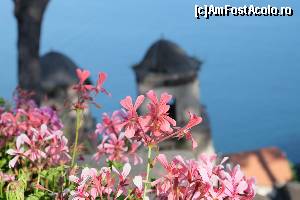 [P120] Ravello - vila Rufolo » foto by nickro
 - 
<span class="allrVoted glyphicon glyphicon-heart hidden" id="av547730"></span>
<a class="m-l-10 hidden" id="sv547730" onclick="voting_Foto_DelVot(,547730,17284)" role="button">șterge vot <span class="glyphicon glyphicon-remove"></span></a>
<a id="v9547730" class=" c-red"  onclick="voting_Foto_SetVot(547730)" role="button"><span class="glyphicon glyphicon-heart-empty"></span> <b>LIKE</b> = Votează poza</a> <img class="hidden"  id="f547730W9" src="/imagini/loader.gif" border="0" /><span class="AjErrMes hidden" id="e547730ErM"></span>