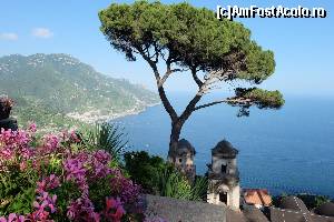 [P63] Ravello - vila Rufolo » foto by nickro
 - 
<span class="allrVoted glyphicon glyphicon-heart hidden" id="av547638"></span>
<a class="m-l-10 hidden" id="sv547638" onclick="voting_Foto_DelVot(,547638,17284)" role="button">șterge vot <span class="glyphicon glyphicon-remove"></span></a>
<a id="v9547638" class=" c-red"  onclick="voting_Foto_SetVot(547638)" role="button"><span class="glyphicon glyphicon-heart-empty"></span> <b>LIKE</b> = Votează poza</a> <img class="hidden"  id="f547638W9" src="/imagini/loader.gif" border="0" /><span class="AjErrMes hidden" id="e547638ErM"></span>