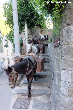 [P65] Amalfi » foto by nickro
 - 
<span class="allrVoted glyphicon glyphicon-heart hidden" id="av547642"></span>
<a class="m-l-10 hidden" id="sv547642" onclick="voting_Foto_DelVot(,547642,17284)" role="button">șterge vot <span class="glyphicon glyphicon-remove"></span></a>
<a id="v9547642" class=" c-red"  onclick="voting_Foto_SetVot(547642)" role="button"><span class="glyphicon glyphicon-heart-empty"></span> <b>LIKE</b> = Votează poza</a> <img class="hidden"  id="f547642W9" src="/imagini/loader.gif" border="0" /><span class="AjErrMes hidden" id="e547642ErM"></span>
