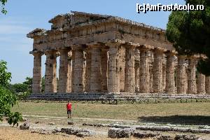 [P76] Maretele temple de la Paestum » foto by nickro
 - 
<span class="allrVoted glyphicon glyphicon-heart hidden" id="av547662"></span>
<a class="m-l-10 hidden" id="sv547662" onclick="voting_Foto_DelVot(,547662,17284)" role="button">șterge vot <span class="glyphicon glyphicon-remove"></span></a>
<a id="v9547662" class=" c-red"  onclick="voting_Foto_SetVot(547662)" role="button"><span class="glyphicon glyphicon-heart-empty"></span> <b>LIKE</b> = Votează poza</a> <img class="hidden"  id="f547662W9" src="/imagini/loader.gif" border="0" /><span class="AjErrMes hidden" id="e547662ErM"></span>