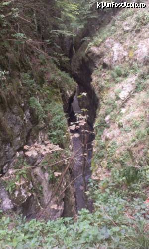 [P16] Cheile Oltetului, vedere de la treptele din fata pesterii » foto by Millana
 - 
<span class="allrVoted glyphicon glyphicon-heart hidden" id="av548530"></span>
<a class="m-l-10 hidden" id="sv548530" onclick="voting_Foto_DelVot(,548530,17286)" role="button">șterge vot <span class="glyphicon glyphicon-remove"></span></a>
<a id="v9548530" class=" c-red"  onclick="voting_Foto_SetVot(548530)" role="button"><span class="glyphicon glyphicon-heart-empty"></span> <b>LIKE</b> = Votează poza</a> <img class="hidden"  id="f548530W9" src="/imagini/loader.gif" border="0" /><span class="AjErrMes hidden" id="e548530ErM"></span>