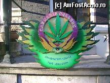 [P23] la liber » foto by zenobia*
 - 
<span class="allrVoted glyphicon glyphicon-heart hidden" id="av47413"></span>
<a class="m-l-10 hidden" id="sv47413" onclick="voting_Foto_DelVot(,47413,17324)" role="button">șterge vot <span class="glyphicon glyphicon-remove"></span></a>
<a id="v947413" class=" c-red"  onclick="voting_Foto_SetVot(47413)" role="button"><span class="glyphicon glyphicon-heart-empty"></span> <b>LIKE</b> = Votează poza</a> <img class="hidden"  id="f47413W9" src="/imagini/loader.gif" border="0" /><span class="AjErrMes hidden" id="e47413ErM"></span>