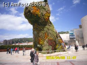 [P26] Bilbao » foto by viorelgeorgescu
 - 
<span class="allrVoted glyphicon glyphicon-heart hidden" id="av1069514"></span>
<a class="m-l-10 hidden" id="sv1069514" onclick="voting_Foto_DelVot(,1069514,17340)" role="button">șterge vot <span class="glyphicon glyphicon-remove"></span></a>
<a id="v91069514" class=" c-red"  onclick="voting_Foto_SetVot(1069514)" role="button"><span class="glyphicon glyphicon-heart-empty"></span> <b>LIKE</b> = Votează poza</a> <img class="hidden"  id="f1069514W9" src="/imagini/loader.gif" border="0" /><span class="AjErrMes hidden" id="e1069514ErM"></span>