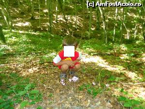 [P13] floricele minunate in umbra padurii, nu le rupem, doar le fotografiem!  » foto by buterfly*
 - 
<span class="allrVoted glyphicon glyphicon-heart hidden" id="av558190"></span>
<a class="m-l-10 hidden" id="sv558190" onclick="voting_Foto_DelVot(,558190,17389)" role="button">șterge vot <span class="glyphicon glyphicon-remove"></span></a>
<a id="v9558190" class=" c-red"  onclick="voting_Foto_SetVot(558190)" role="button"><span class="glyphicon glyphicon-heart-empty"></span> <b>LIKE</b> = Votează poza</a> <img class="hidden"  id="f558190W9" src="/imagini/loader.gif" border="0" /><span class="AjErrMes hidden" id="e558190ErM"></span>