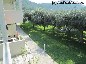 [P18] Gradina cu maslini vazuta din balconul nostru » foto by alex77nistor
 - 
<span class="allrVoted glyphicon glyphicon-heart hidden" id="av560912"></span>
<a class="m-l-10 hidden" id="sv560912" onclick="voting_Foto_DelVot(,560912,17444)" role="button">șterge vot <span class="glyphicon glyphicon-remove"></span></a>
<a id="v9560912" class=" c-red"  onclick="voting_Foto_SetVot(560912)" role="button"><span class="glyphicon glyphicon-heart-empty"></span> <b>LIKE</b> = Votează poza</a> <img class="hidden"  id="f560912W9" src="/imagini/loader.gif" border="0" /><span class="AjErrMes hidden" id="e560912ErM"></span>