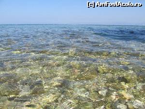[P31] Marea din zona plajei Pachis. Sunt pietre pe o portiune de cam 2 metri, dar cei care se ocupa de plaja fac carari, deci intrarea in apa se face usor.  » foto by alex77nistor
 - 
<span class="allrVoted glyphicon glyphicon-heart hidden" id="av560932"></span>
<a class="m-l-10 hidden" id="sv560932" onclick="voting_Foto_DelVot(,560932,17444)" role="button">șterge vot <span class="glyphicon glyphicon-remove"></span></a>
<a id="v9560932" class=" c-red"  onclick="voting_Foto_SetVot(560932)" role="button"><span class="glyphicon glyphicon-heart-empty"></span> <b>LIKE</b> = Votează poza</a> <img class="hidden"  id="f560932W9" src="/imagini/loader.gif" border="0" /><span class="AjErrMes hidden" id="e560932ErM"></span>