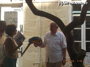 [P13] Marchizul de Piro si Kiku » foto by criss23
 - 
<span class="allrVoted glyphicon glyphicon-heart hidden" id="av568302"></span>
<a class="m-l-10 hidden" id="sv568302" onclick="voting_Foto_DelVot(,568302,17454)" role="button">șterge vot <span class="glyphicon glyphicon-remove"></span></a>
<a id="v9568302" class=" c-red"  onclick="voting_Foto_SetVot(568302)" role="button"><span class="glyphicon glyphicon-heart-empty"></span> <b>LIKE</b> = Votează poza</a> <img class="hidden"  id="f568302W9" src="/imagini/loader.gif" border="0" /><span class="AjErrMes hidden" id="e568302ErM"></span>