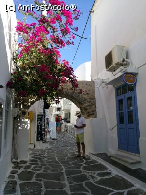 [P11] Undeva, în Paros...  » foto by crismis
 - 
<span class="allrVoted glyphicon glyphicon-heart hidden" id="av1009232"></span>
<a class="m-l-10 hidden" id="sv1009232" onclick="voting_Foto_DelVot(,1009232,17461)" role="button">șterge vot <span class="glyphicon glyphicon-remove"></span></a>
<a id="v91009232" class=" c-red"  onclick="voting_Foto_SetVot(1009232)" role="button"><span class="glyphicon glyphicon-heart-empty"></span> <b>LIKE</b> = Votează poza</a> <img class="hidden"  id="f1009232W9" src="/imagini/loader.gif" border="0" /><span class="AjErrMes hidden" id="e1009232ErM"></span>