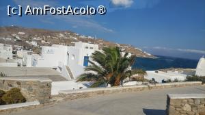 [P77] Mykonos, imagine din apropierea hotelului nostru » foto by Carmen Ion
 - 
<span class="allrVoted glyphicon glyphicon-heart hidden" id="av1420428"></span>
<a class="m-l-10 hidden" id="sv1420428" onclick="voting_Foto_DelVot(,1420428,17461)" role="button">șterge vot <span class="glyphicon glyphicon-remove"></span></a>
<a id="v91420428" class=" c-red"  onclick="voting_Foto_SetVot(1420428)" role="button"><span class="glyphicon glyphicon-heart-empty"></span> <b>LIKE</b> = Votează poza</a> <img class="hidden"  id="f1420428W9" src="/imagini/loader.gif" border="0" /><span class="AjErrMes hidden" id="e1420428ErM"></span>