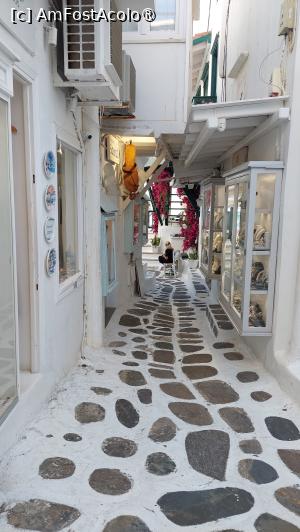 [P80] Mykonos Town » foto by Carmen Ion
 - 
<span class="allrVoted glyphicon glyphicon-heart hidden" id="av1420431"></span>
<a class="m-l-10 hidden" id="sv1420431" onclick="voting_Foto_DelVot(,1420431,17461)" role="button">șterge vot <span class="glyphicon glyphicon-remove"></span></a>
<a id="v91420431" class=" c-red"  onclick="voting_Foto_SetVot(1420431)" role="button"><span class="glyphicon glyphicon-heart-empty"></span> <b>LIKE</b> = Votează poza</a> <img class="hidden"  id="f1420431W9" src="/imagini/loader.gif" border="0" /><span class="AjErrMes hidden" id="e1420431ErM"></span>