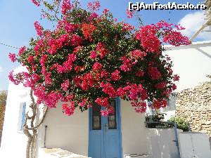 [P29] Paros - satul Lefkes 2014 » foto by zuftim
 - 
<span class="allrVoted glyphicon glyphicon-heart hidden" id="av646133"></span>
<a class="m-l-10 hidden" id="sv646133" onclick="voting_Foto_DelVot(,646133,17461)" role="button">șterge vot <span class="glyphicon glyphicon-remove"></span></a>
<a id="v9646133" class=" c-red"  onclick="voting_Foto_SetVot(646133)" role="button"><span class="glyphicon glyphicon-heart-empty"></span> <b>LIKE</b> = Votează poza</a> <img class="hidden"  id="f646133W9" src="/imagini/loader.gif" border="0" /><span class="AjErrMes hidden" id="e646133ErM"></span>