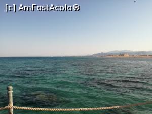 [P01] În poză se pot vedea coralii.  » foto by Simona12345
 - 
<span class="allrVoted glyphicon glyphicon-heart hidden" id="av1002133"></span>
<a class="m-l-10 hidden" id="sv1002133" onclick="voting_Foto_DelVot(,1002133,17478)" role="button">șterge vot <span class="glyphicon glyphicon-remove"></span></a>
<a id="v91002133" class=" c-red"  onclick="voting_Foto_SetVot(1002133)" role="button"><span class="glyphicon glyphicon-heart-empty"></span> <b>LIKE</b> = Votează poza</a> <img class="hidden"  id="f1002133W9" src="/imagini/loader.gif" border="0" /><span class="AjErrMes hidden" id="e1002133ErM"></span>