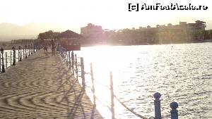 [P04]  -- <small>// FĂRĂ DESCRIERE</small> » foto by monicaf
 - 
<span class="allrVoted glyphicon glyphicon-heart hidden" id="av645339"></span>
<a class="m-l-10 hidden" id="sv645339" onclick="voting_Foto_DelVot(,645339,17478)" role="button">șterge vot <span class="glyphicon glyphicon-remove"></span></a>
<a id="v9645339" class=" c-red"  onclick="voting_Foto_SetVot(645339)" role="button"><span class="glyphicon glyphicon-heart-empty"></span> <b>LIKE</b> = Votează poza</a> <img class="hidden"  id="f645339W9" src="/imagini/loader.gif" border="0" /><span class="AjErrMes hidden" id="e645339ErM"></span>