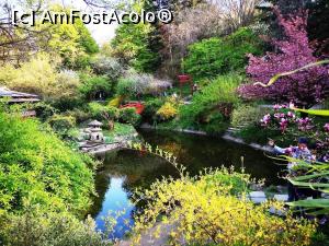 [P12] Sa rupem monotonia cu o imagine din gradina botanica » foto by DOINITA
 - 
<span class="allrVoted glyphicon glyphicon-heart hidden" id="av1082521"></span>
<a class="m-l-10 hidden" id="sv1082521" onclick="voting_Foto_DelVot(,1082521,17485)" role="button">șterge vot <span class="glyphicon glyphicon-remove"></span></a>
<a id="v91082521" class=" c-red"  onclick="voting_Foto_SetVot(1082521)" role="button"><span class="glyphicon glyphicon-heart-empty"></span> <b>LIKE</b> = Votează poza</a> <img class="hidden"  id="f1082521W9" src="/imagini/loader.gif" border="0" /><span class="AjErrMes hidden" id="e1082521ErM"></span>