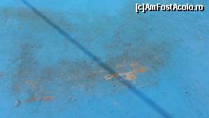 [P01] vopseaua de la piscina copiilor, deja dadea urme de oboseala » foto by rmnk
 - 
<span class="allrVoted glyphicon glyphicon-heart hidden" id="av558153"></span>
<a class="m-l-10 hidden" id="sv558153" onclick="voting_Foto_DelVot(,558153,17497)" role="button">șterge vot <span class="glyphicon glyphicon-remove"></span></a>
<a id="v9558153" class=" c-red"  onclick="voting_Foto_SetVot(558153)" role="button"><span class="glyphicon glyphicon-heart-empty"></span> <b>LIKE</b> = Votează poza</a> <img class="hidden"  id="f558153W9" src="/imagini/loader.gif" border="0" /><span class="AjErrMes hidden" id="e558153ErM"></span>