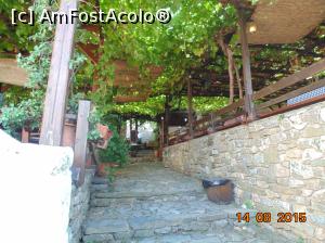 [P30]  -- <small>// FĂRĂ DESCRIERE</small> » foto by Denisa13
 - 
<span class="allrVoted glyphicon glyphicon-heart hidden" id="av787117"></span>
<a class="m-l-10 hidden" id="sv787117" onclick="voting_Foto_DelVot(,787117,17499)" role="button">șterge vot <span class="glyphicon glyphicon-remove"></span></a>
<a id="v9787117" class=" c-red"  onclick="voting_Foto_SetVot(787117)" role="button"><span class="glyphicon glyphicon-heart-empty"></span> <b>LIKE</b> = Votează poza</a> <img class="hidden"  id="f787117W9" src="/imagini/loader.gif" border="0" /><span class="AjErrMes hidden" id="e787117ErM"></span>