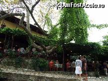 [P26] Platanul din Paleo Pantelimonas de care vă vorbeam. Impresionant, nu? » foto by iulibv
 - 
<span class="allrVoted glyphicon glyphicon-heart hidden" id="av114250"></span>
<a class="m-l-10 hidden" id="sv114250" onclick="voting_Foto_DelVot(,114250,17499)" role="button">șterge vot <span class="glyphicon glyphicon-remove"></span></a>
<a id="v9114250" class=" c-red"  onclick="voting_Foto_SetVot(114250)" role="button"><span class="glyphicon glyphicon-heart-empty"></span> <b>LIKE</b> = Votează poza</a> <img class="hidden"  id="f114250W9" src="/imagini/loader.gif" border="0" /><span class="AjErrMes hidden" id="e114250ErM"></span>