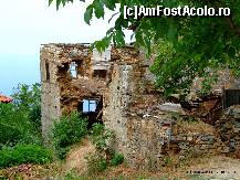 [P32] Ruuuiiineee » foto by iulibv
 - 
<span class="allrVoted glyphicon glyphicon-heart hidden" id="av114256"></span>
<a class="m-l-10 hidden" id="sv114256" onclick="voting_Foto_DelVot(,114256,17499)" role="button">șterge vot <span class="glyphicon glyphicon-remove"></span></a>
<a id="v9114256" class=" c-red"  onclick="voting_Foto_SetVot(114256)" role="button"><span class="glyphicon glyphicon-heart-empty"></span> <b>LIKE</b> = Votează poza</a> <img class="hidden"  id="f114256W9" src="/imagini/loader.gif" border="0" /><span class="AjErrMes hidden" id="e114256ErM"></span>